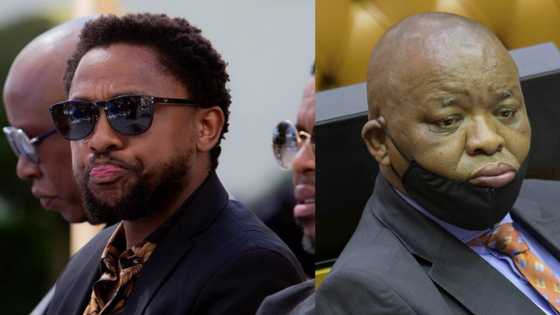 Mbuyiseni Ndlozi shades Gwede Mantsashe, Mzansi reacts: "Be careful"