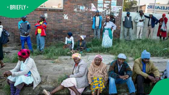 Activists warn: Proposed SRD grant reforms could leave millions vulnerable