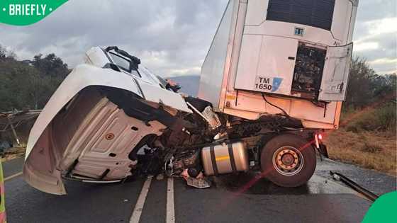 Mpumalanga accident leaves eight people dead after minibus taxi and truck collide on N4 Toll Road