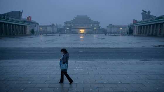 N. Korea animators may have worked on Amazon, Max cartoons: report