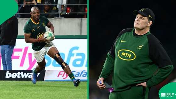 Rassie Erasmus in tears as he speaks on Mapimpi’s heartbreaking family tragedy, Video