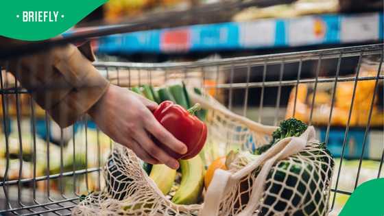 Systemic sustainability in motion: why food systems must lead the climate conversation