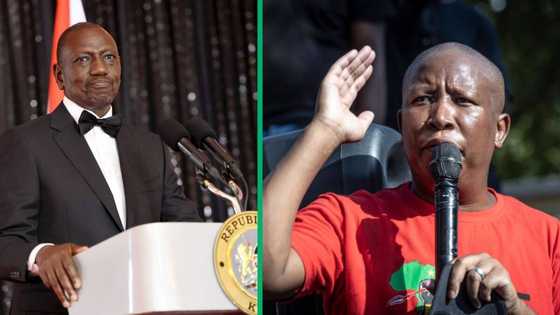 Kenyans upset as EFF leader Malema lambasts President Ruto: "Everything he said was true!"