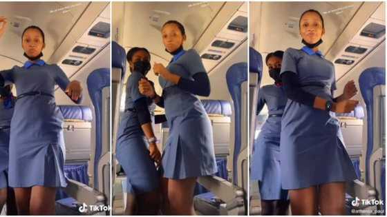 Beautiful female flight attendants move their hips in saucy aeroplane dance clip, video stirs reactions