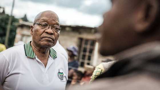 Jacob Zuma: The former president's road from Nkandla to Estcourt prison
