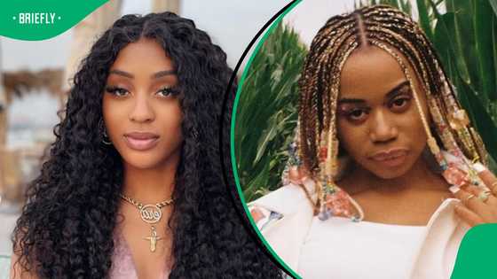 Mzansi defends Nadia Nakai, Sha Sha and more after a PA member called for Zim celebs' deportation