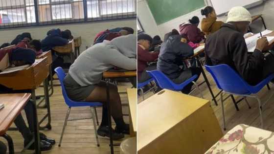 TikTok video shows 1 pupil still studying minutes before exam, Mzansi amused as rest of the class takes power naps: "Like they have stress"