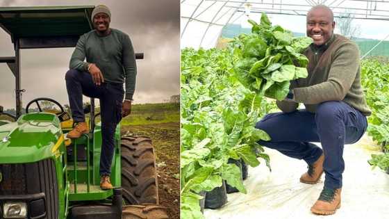 "Fresh & yummy": SA wowed by young vegetable farmer busy with inspiring hustle