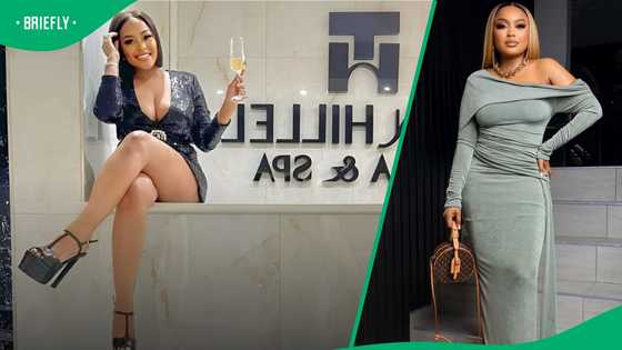 Lerato Kganyago's former hotel website allegedly disappears after being mentioned in Madlanga Commission