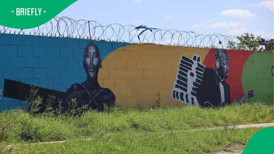 Mandela Bay Theatre Complex marked 40 years as a living archive of South African culture