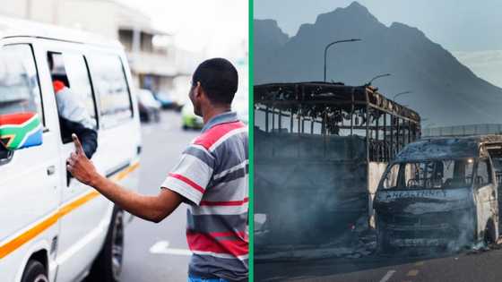 Cape Town’s deadly taxi strike ends after Santaco, Western Cape govt and Metro come to tenuous agreement