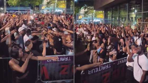Amapiano set in France has crowd going wild, TikTok video shows how genre is taking over the world