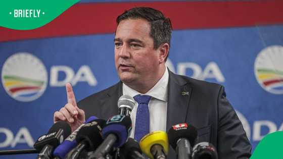 John Steenhuisen says he refused to lie about white genocide during White House visit