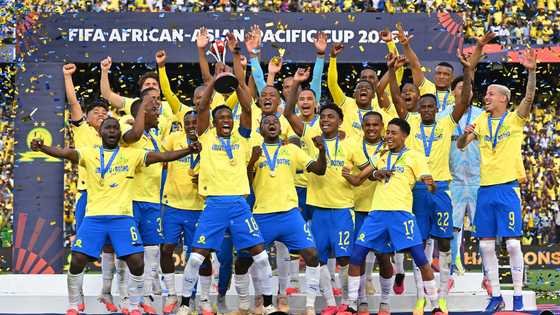 Sundowns hailed as Africa’s best club by UEFA Champions League winner