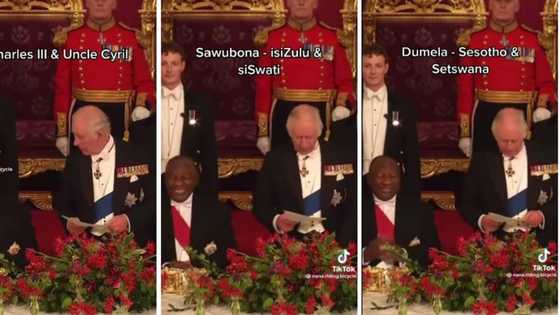 Ramaphosa reacts to King Charles speaking SA languages, Mzansi peeps unleashes fire memes: "Always sleepy"