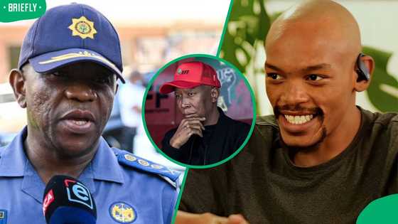 Nota Baloyi amused by resurfaced video of Julius Malema attacking General Nhlanhla Mkhwanazi