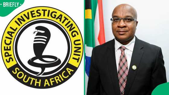 SIU uncovers Visa fraud syndicate operating across South African universities, Mzansi demands action