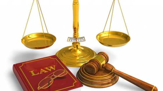 Smart ways to get the best out of small claims court proceeding