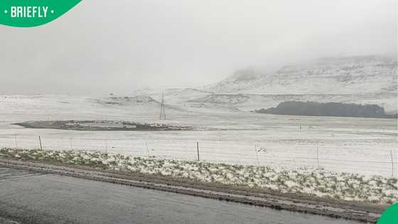 Snow falls in Eastern Cape as cold front sweeps through South Africa