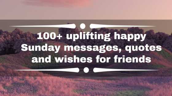 100+ uplifting happy Sunday messages, quotes and wishes for friends