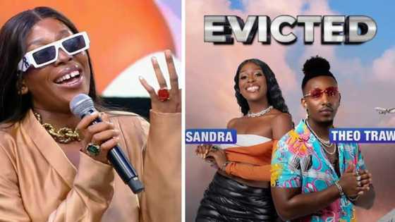 'BBTitans': Theo and Sandra open up about being the first to get booted off the show and future plans