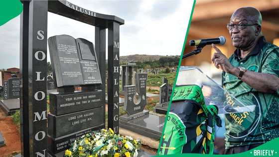 Jacob Zuma to honour Solomon Mahlangu on Freedom Day, South Africans criticise MK Party leader