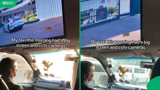 “The first class of taxis”: SA stunned by TikTok video of Pretoria taxi fitted with TV
