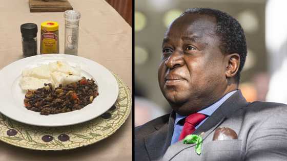 Tito Mboweni shows off another questionable meal and has peeps feeling queasy