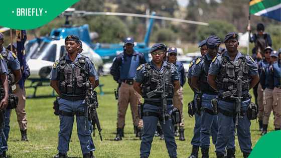 Four arrested for possession of fake SAPS appointment cards