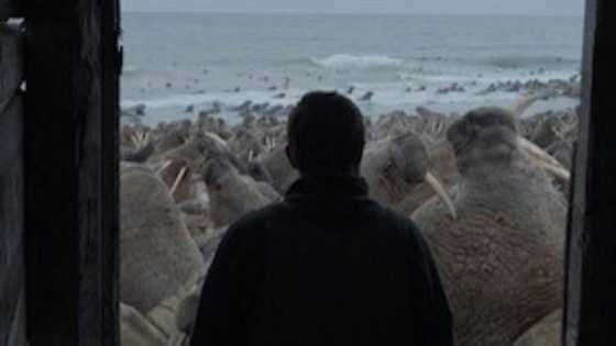Oscar short docs race showcases booming art form