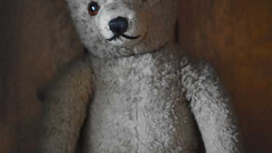 My son found a one-eyed teddy bear— That night, it whispered his name and begged, “Help me”