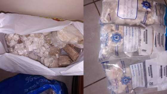 Man tries to bribe officer with R10k after being found with R1.5m drugs