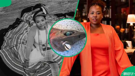 Anele Mdoda stunned by pic of strange-looking shark: "The deep ocean is wilder than space"