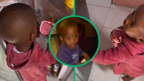 Bloemfontein mother caught son eating entire polony roll and films TikTok video of child caught red-handed