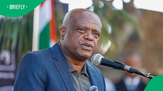 Johannesburg Mayor Dada Morero Reprimands JMPD Officers For Inaction: SA Reacts