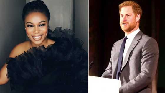 Nomzamo Mbatha meets Prince Harry and rubs shoulders with more public figures