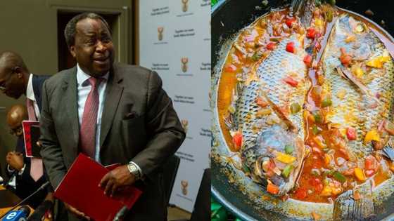 Tito Mboweni causes ruckus online with pic of fish meal, peeps don't think it's his: "You got a gf, Ntate Tito?"