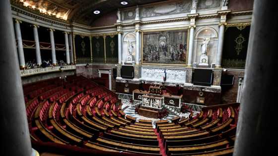 French parliamentary election: what's at stake?