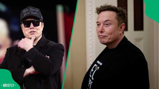 "White genocide": Elon Musk still believes South African minority falls victim to discrimination