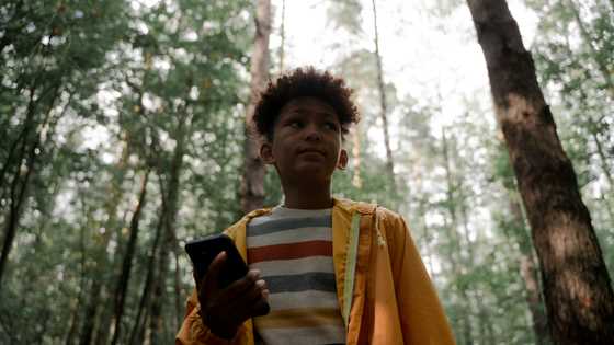 My son got lost in the forest — When I found him, he said, “Dad, there’s a child crying”
