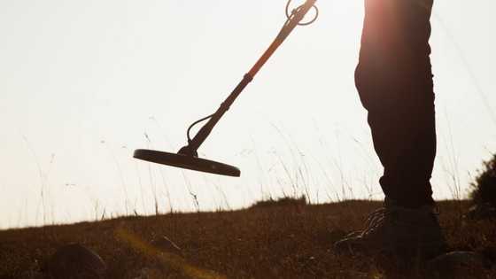 Fortunate man and his metal detector find rare coin worth over R13 million