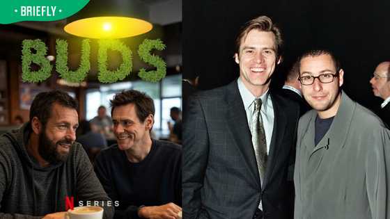 Buds on Netflix: Is the Jim Carrey and Adam Sandler series real?