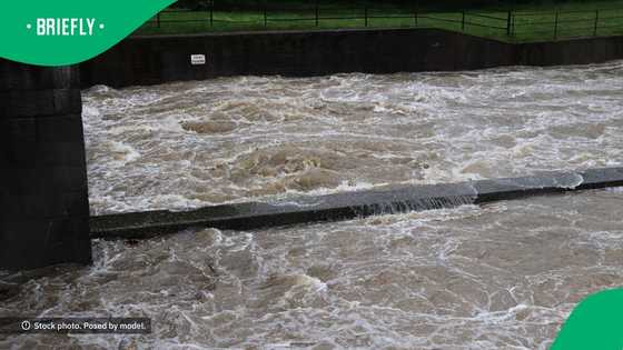 “We're living in the times of Noah right now": SA reacts to floods burying university library