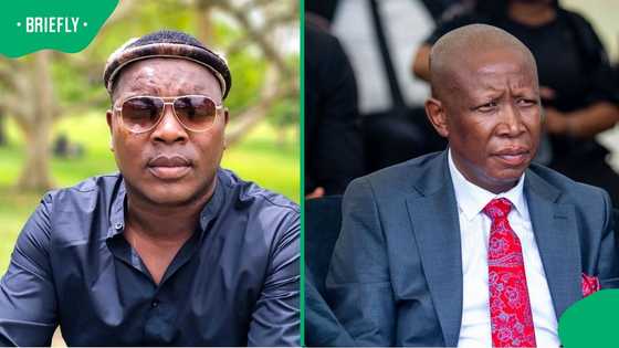 Ngizwe Mchunu ramps up criticism of Julius Malema at anti-Igbo King march