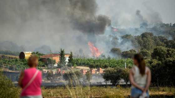 Europe heat sparks harmful ozone pollution, 'extreme' fire risk