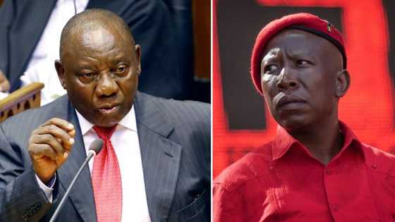 EFF Leader Julius Malema threatens to “expose” President Cyril Ramaphosa if he does not resign