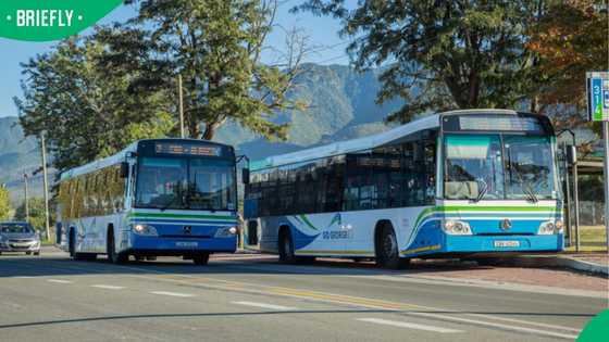 “A great initiative”: SA impressed by George Municipality’s free bus programme for job seekers