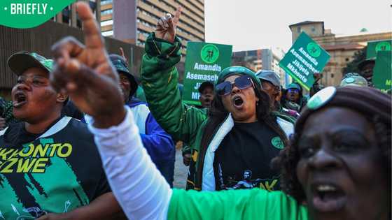 Western Cape High Court rejects expelled uMkhonto weSizwe Party members' bid to be reinstated