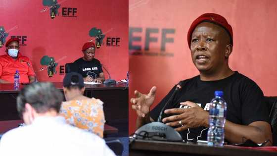 EFF believes Durban is a racist name for the city and wants it changed