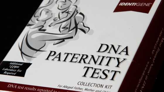 My mother-in-law always whispered my son didn’t resemble my husband – DNA test stunned everyone
